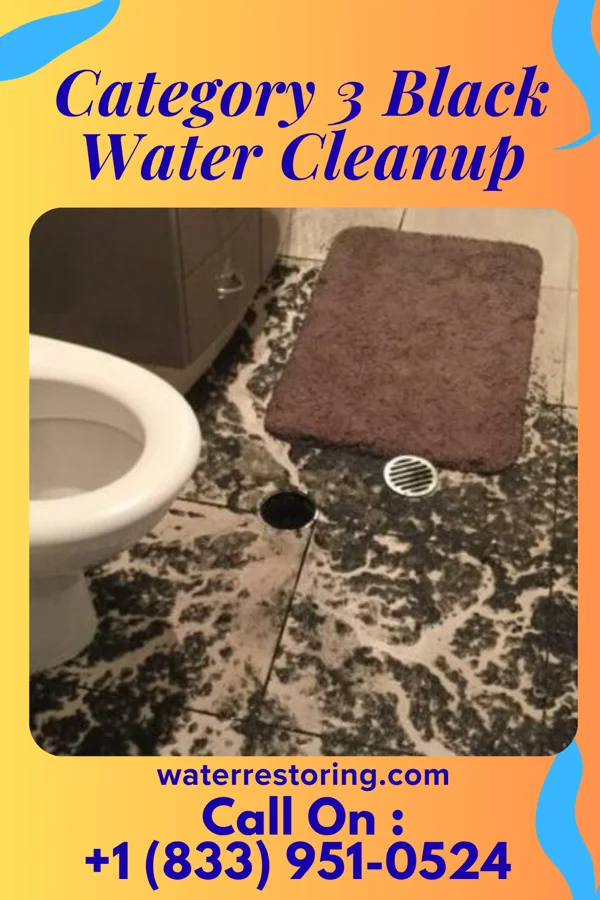 Category 3 Black Water Cleanup in Palmview South, TX